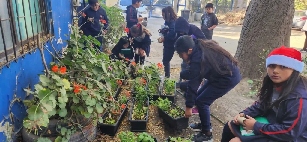 Estudiantes participando en programa de huertas escolares para desarrollar habilidades socioemocionales